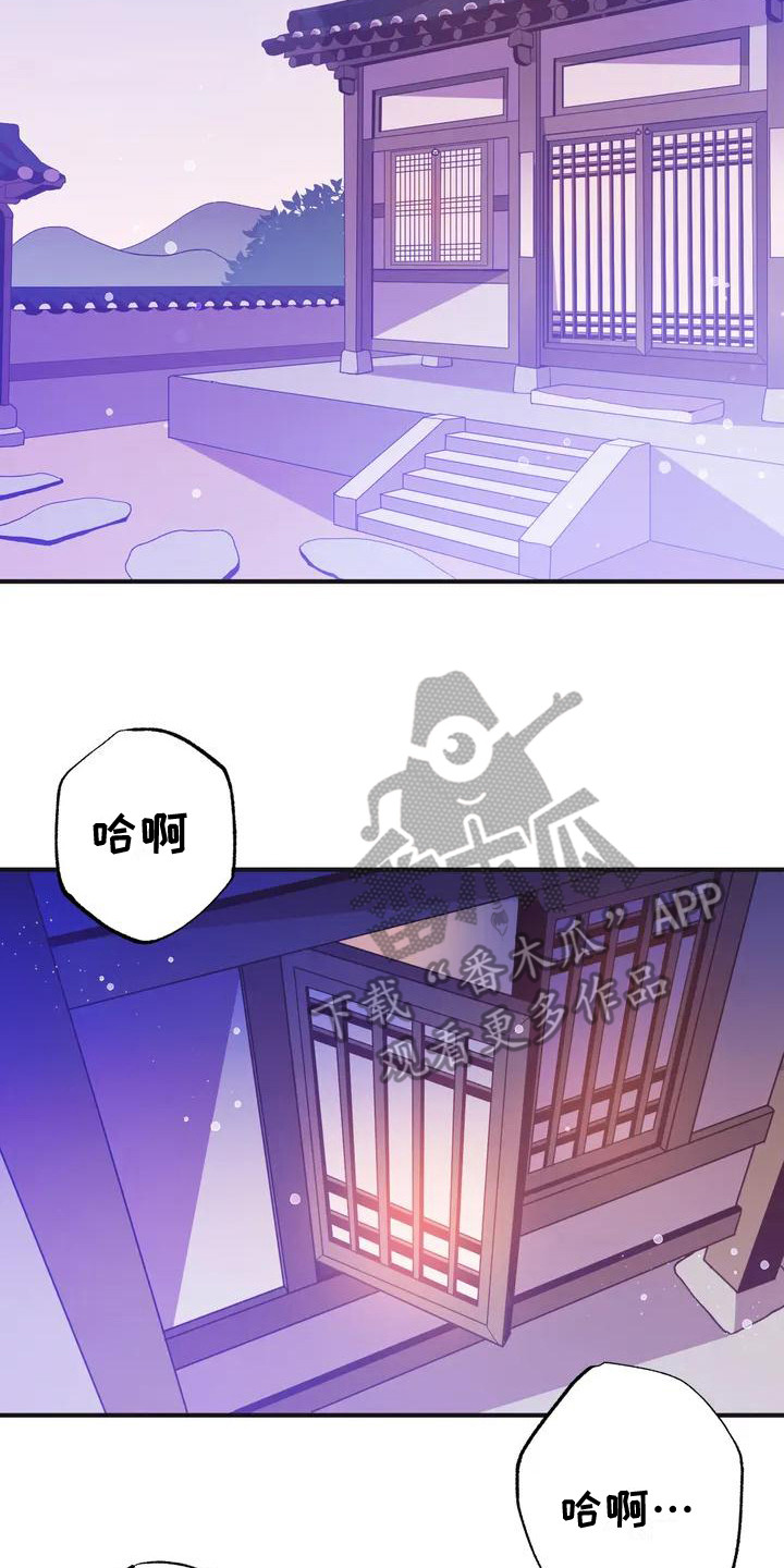 第9章：兔子的处境：兔子贵族2