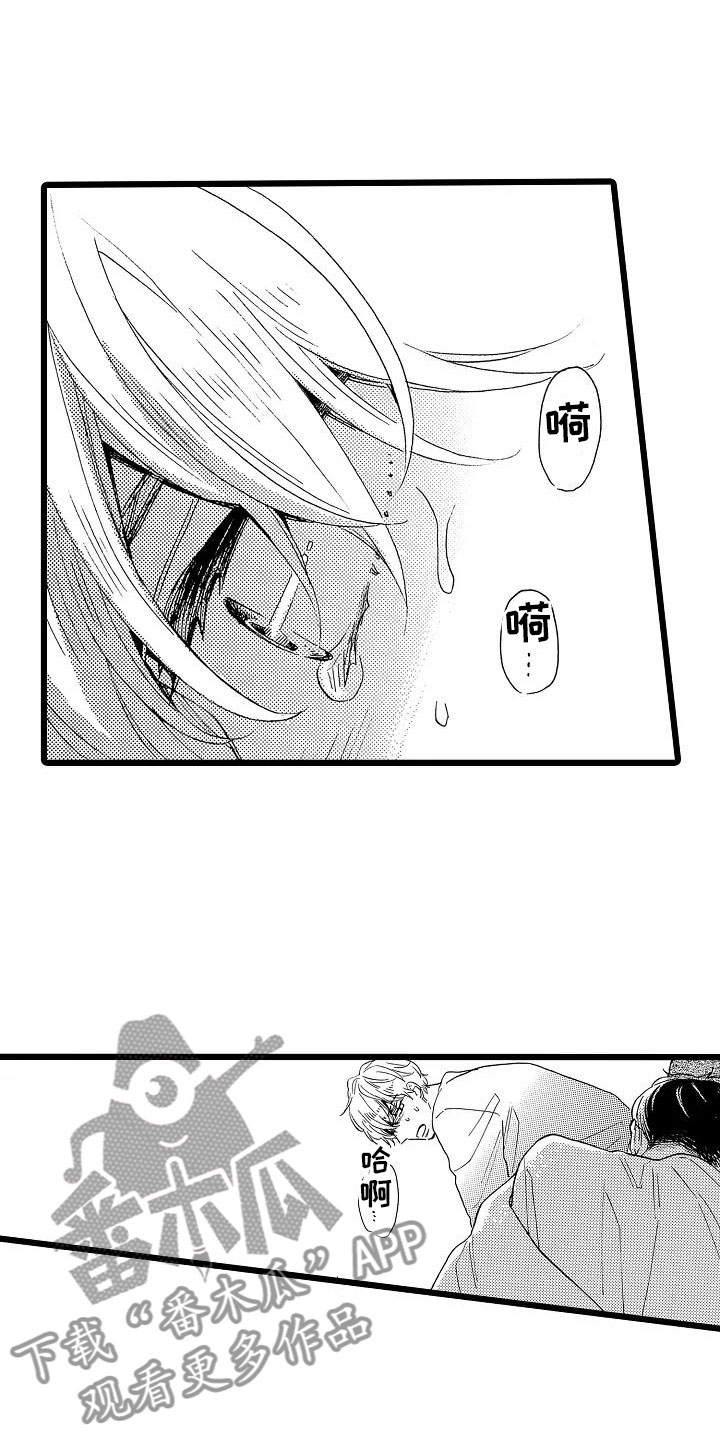 第15章：光明正大4