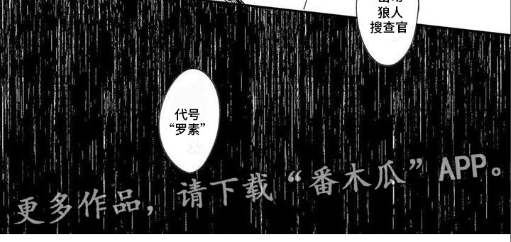 第26章：回归日常4