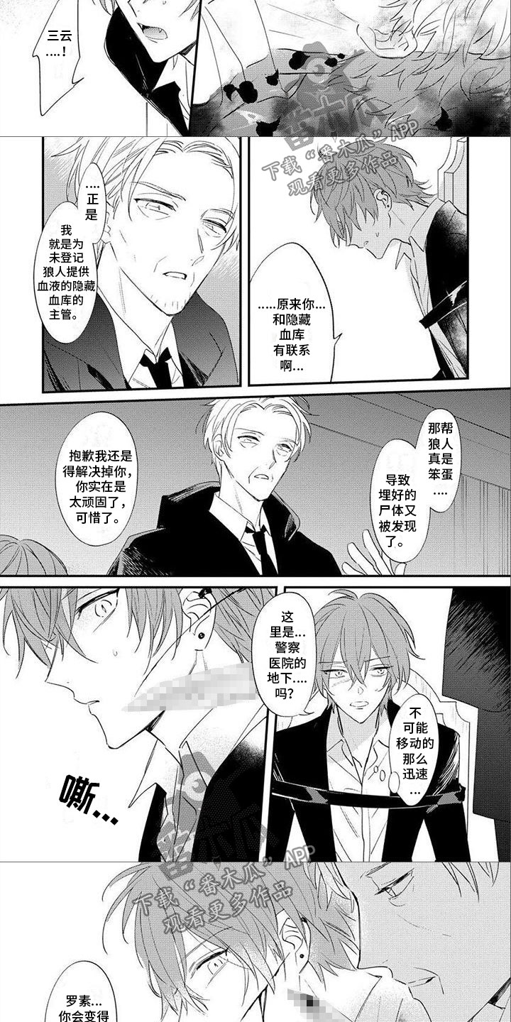 第21章：吸血鬼2