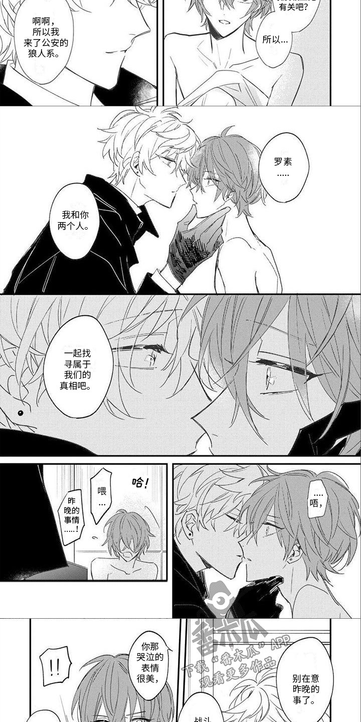 第13章：一起寻找2