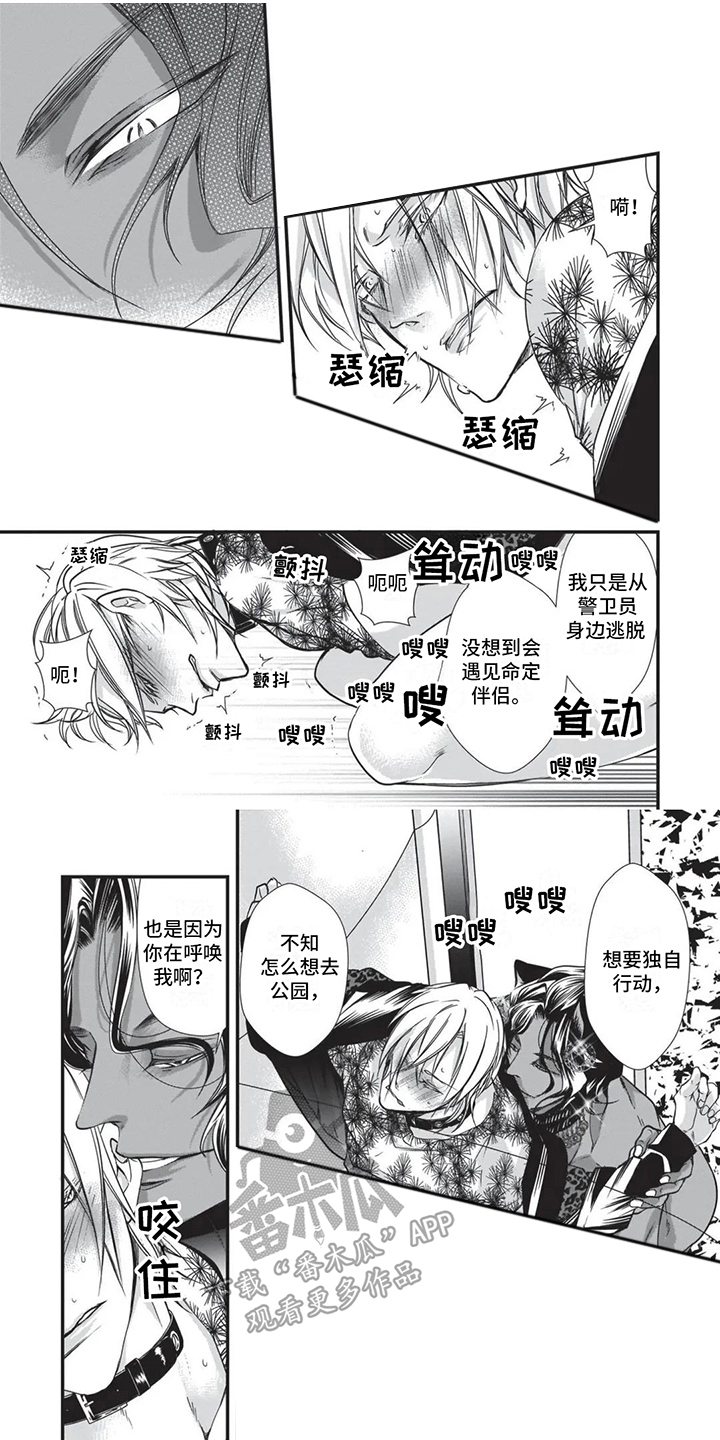 第21章：求婚0