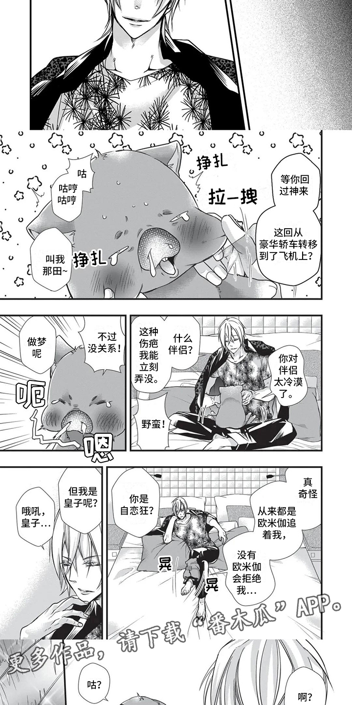 第21章：求婚4