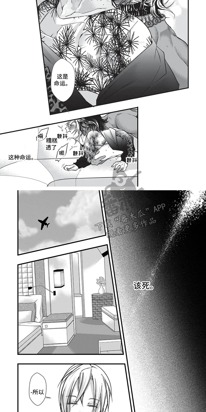 第21章：求婚3