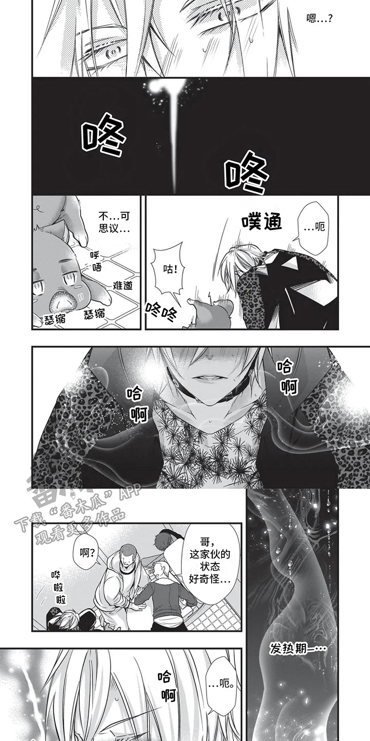 第19章：异国风情2