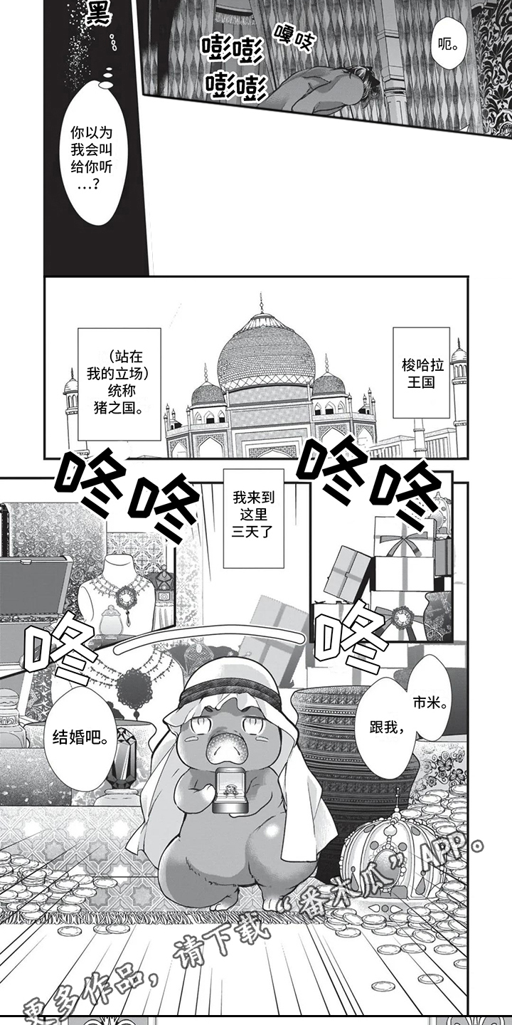 第22章：补偿1