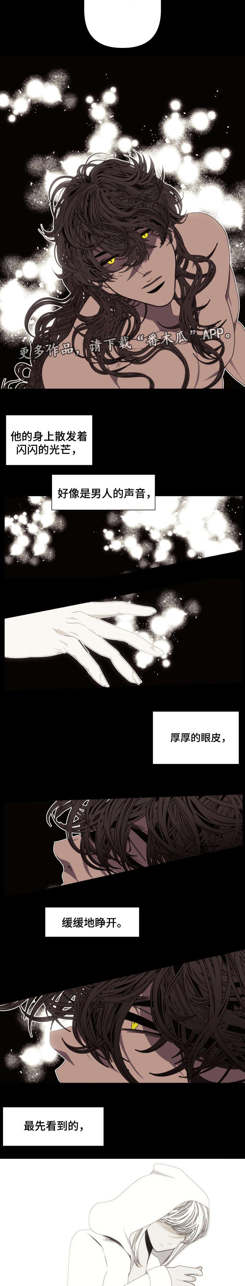 第60章：我的梦2