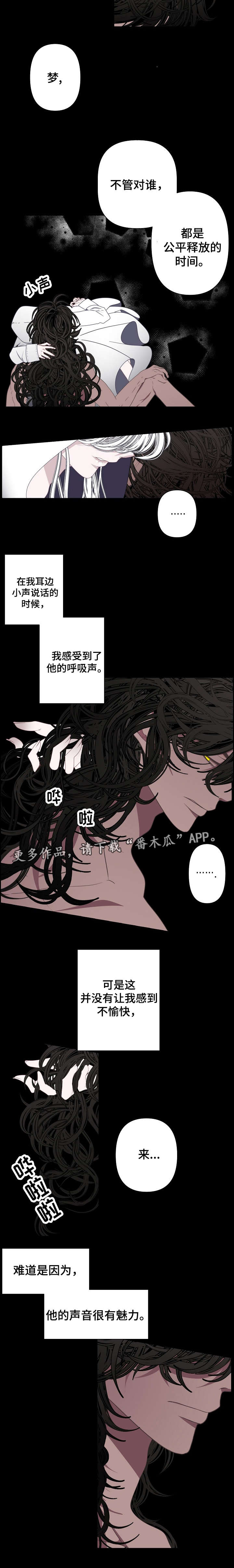第61章：梦境1
