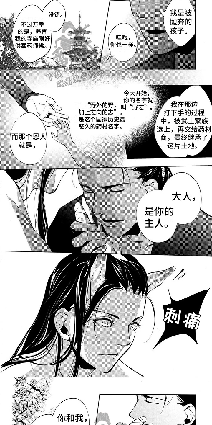 第8章：相同的出发点2