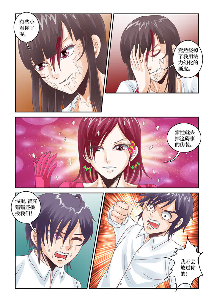 第67章：猫猫回家了（2）4