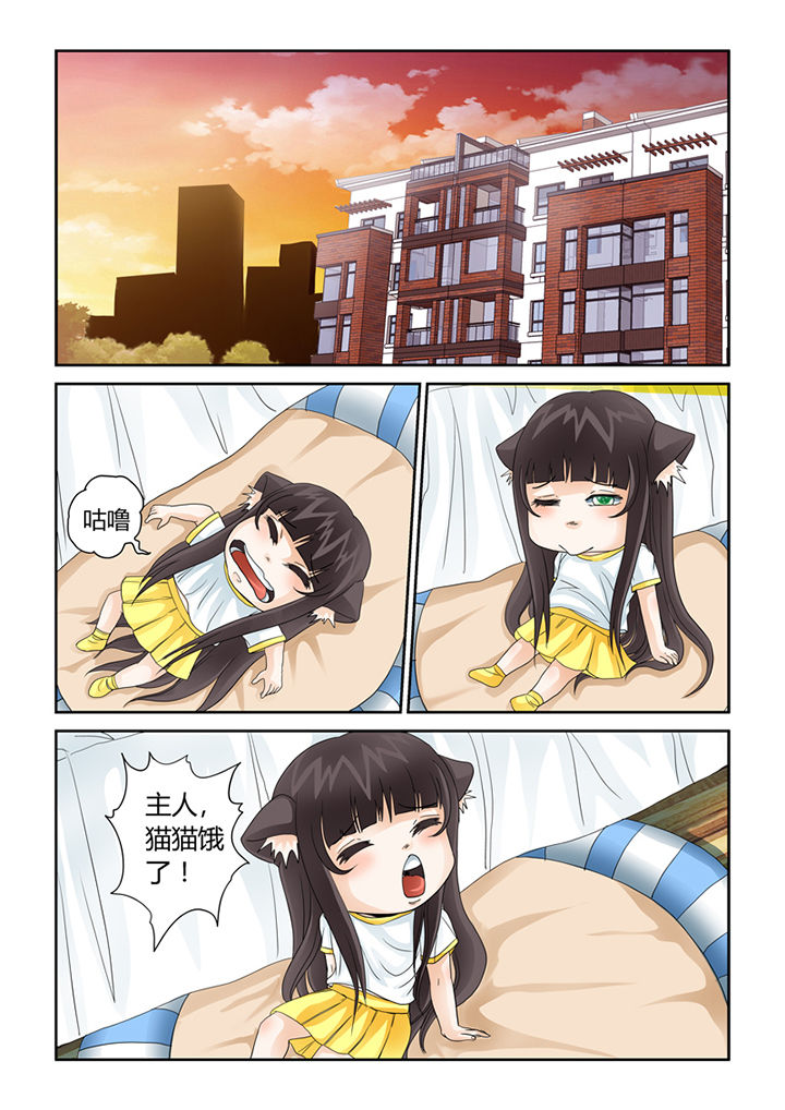 第41章：猫猫的一天0