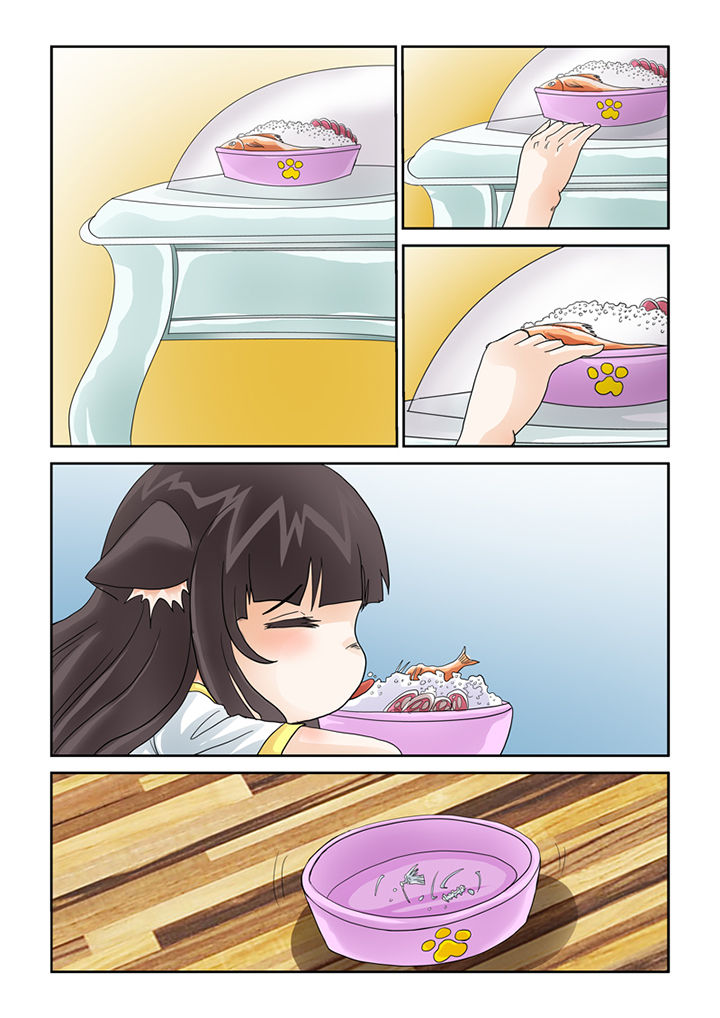 第41章：猫猫的一天2