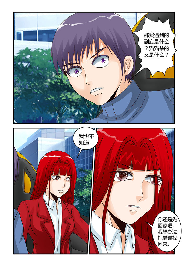 第54章：流浪猫1