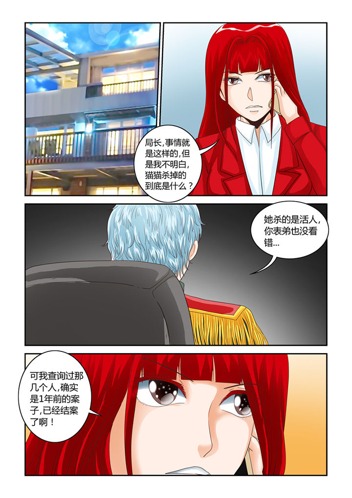 第54章：流浪猫2