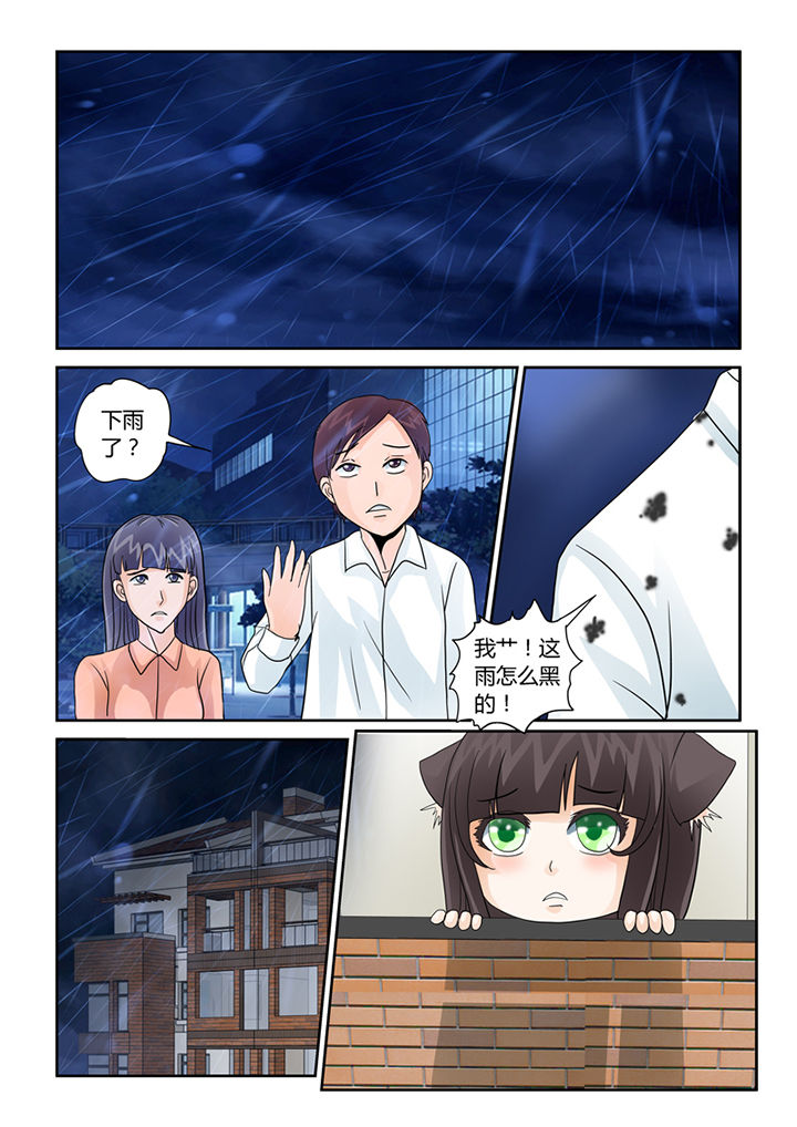 第35章：血雨1