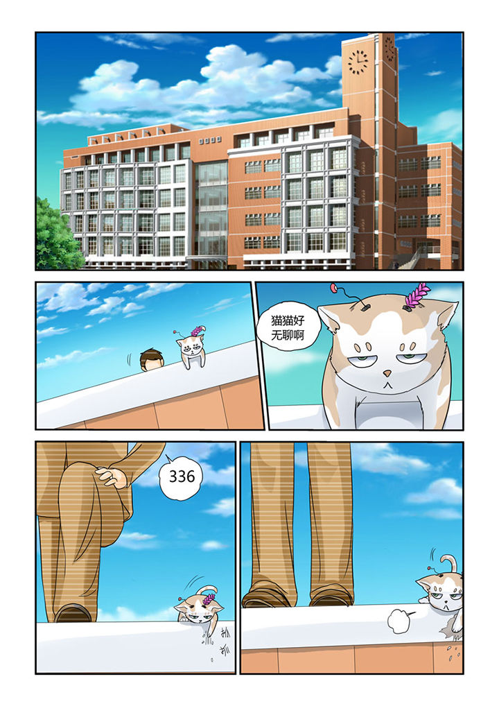 第4章：猫猫丢了吗2