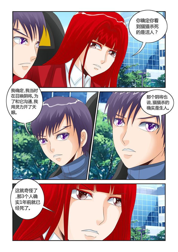 第54章：流浪猫0