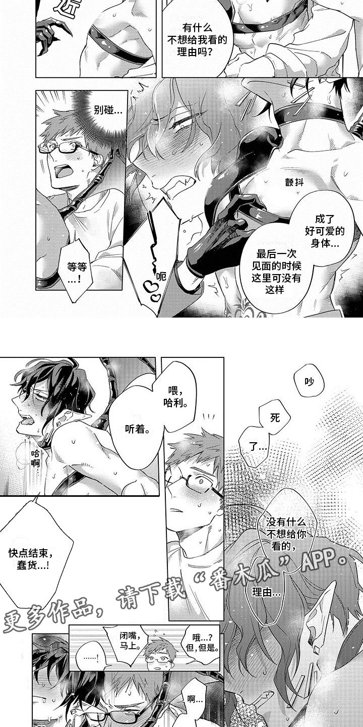 第15章：开花了1