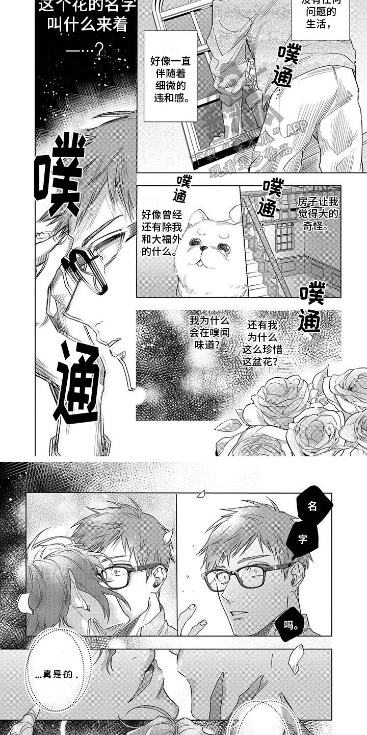 第19章：想起来了3