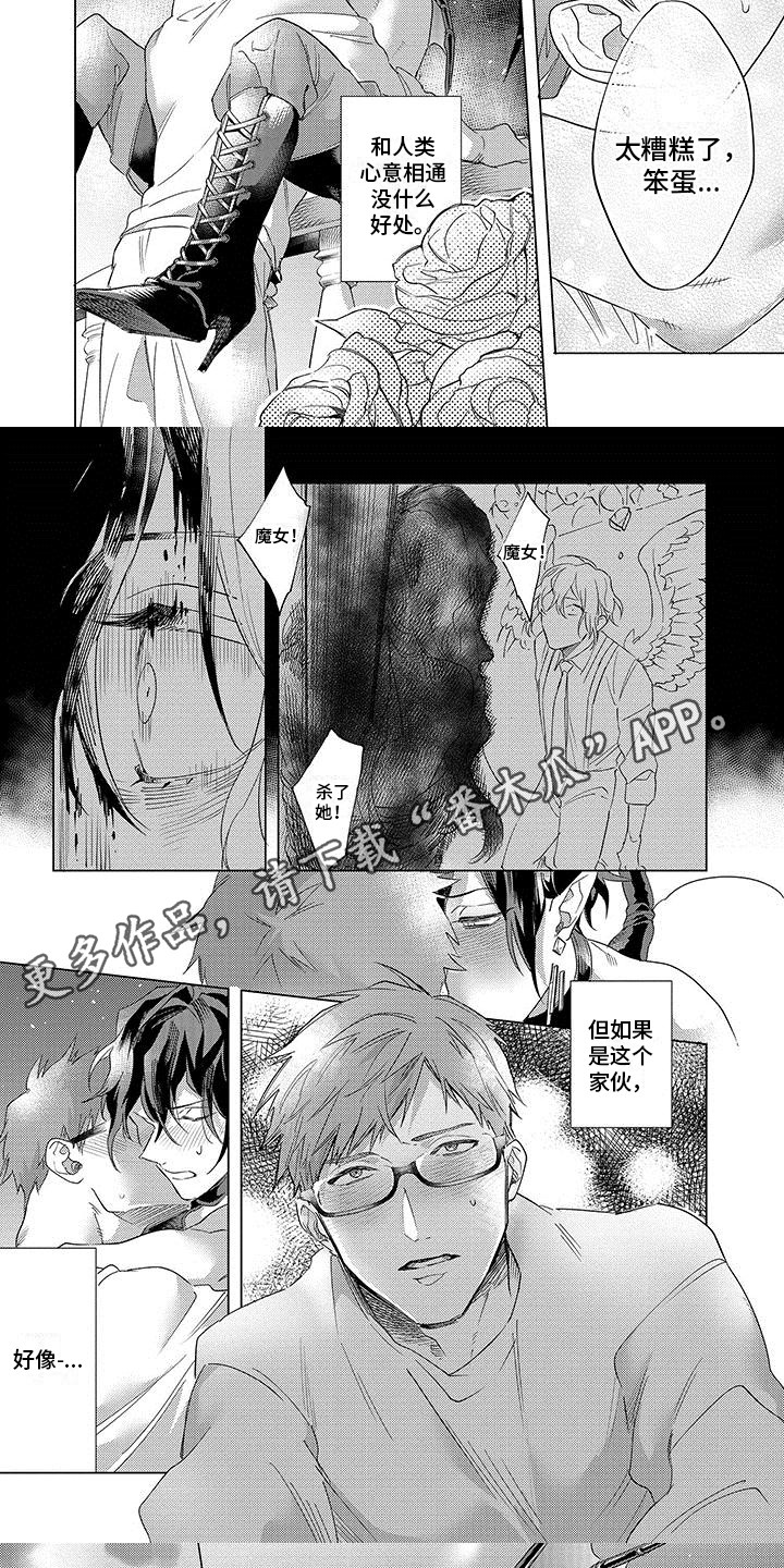 第16章：解除诅咒4