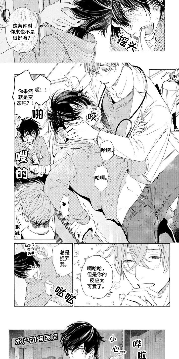 第3章：新的工作1