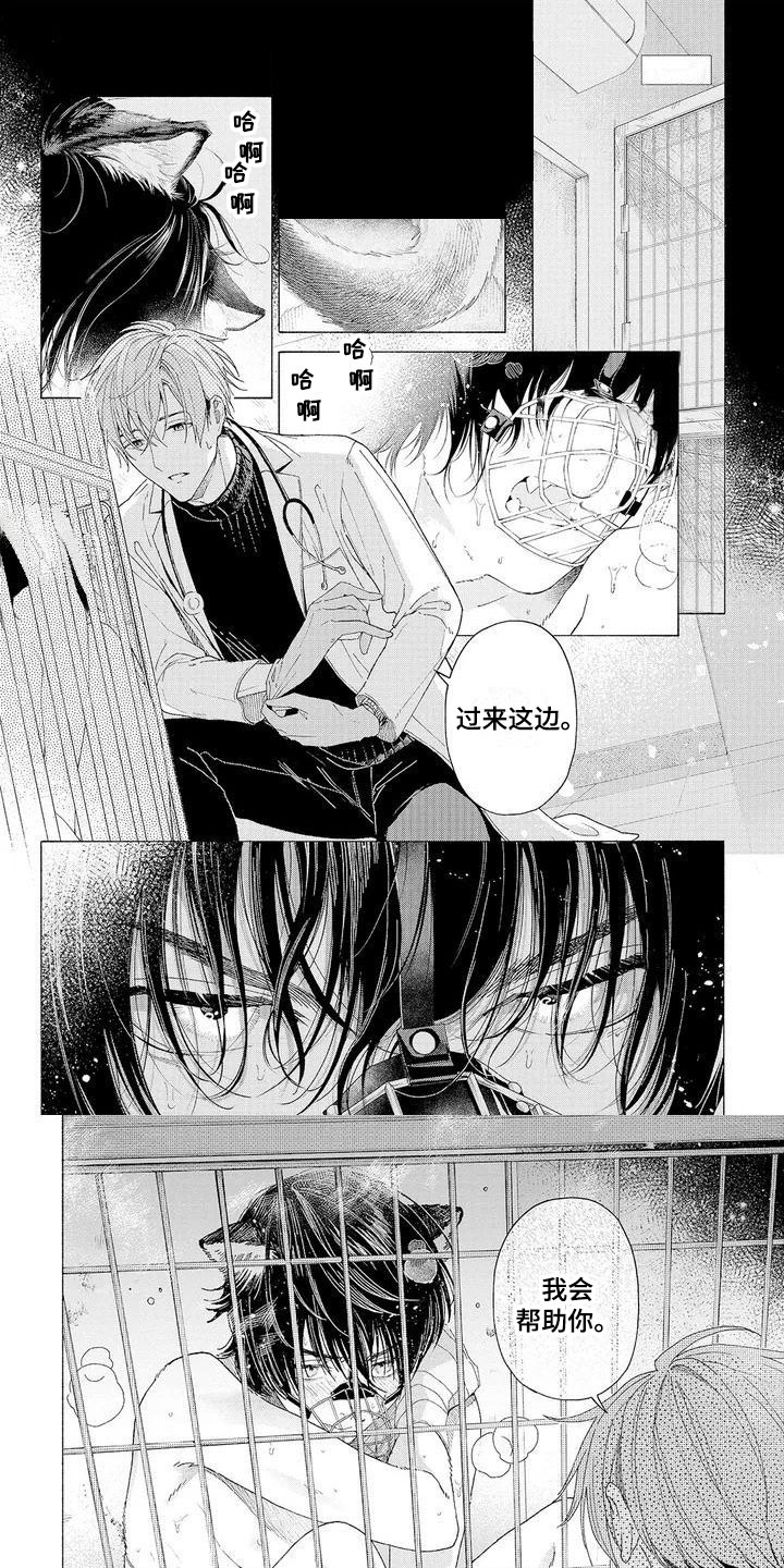 第1章：可爱的狼人0