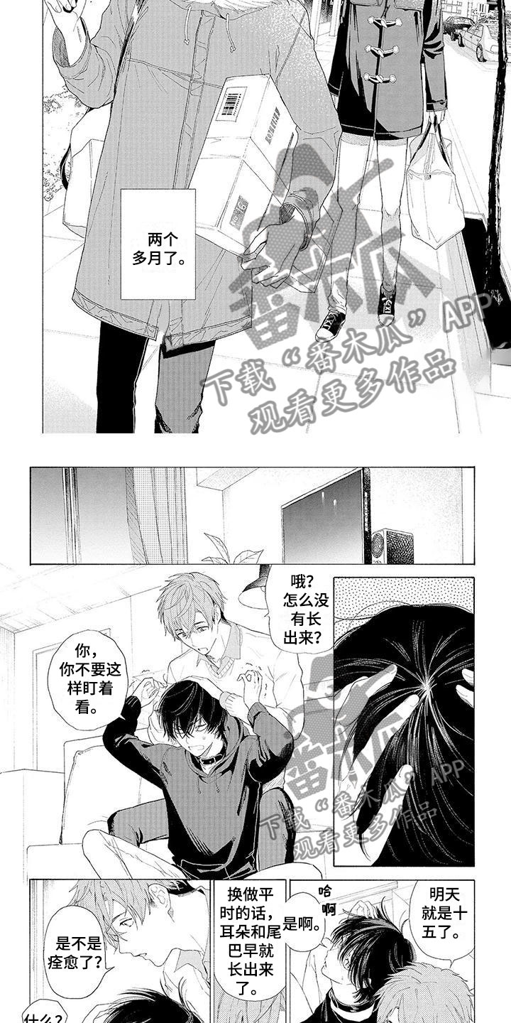 第13章：住下的理由1