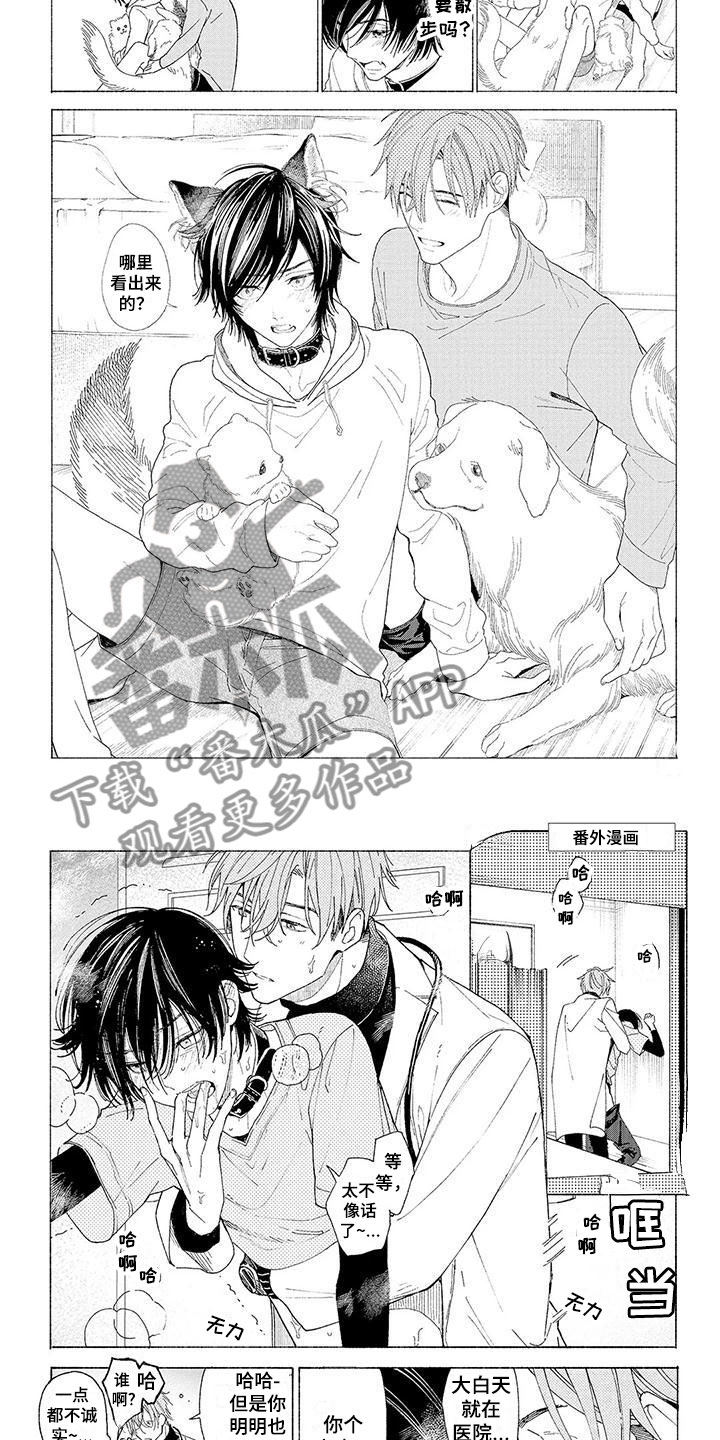 第17章：像是家人3