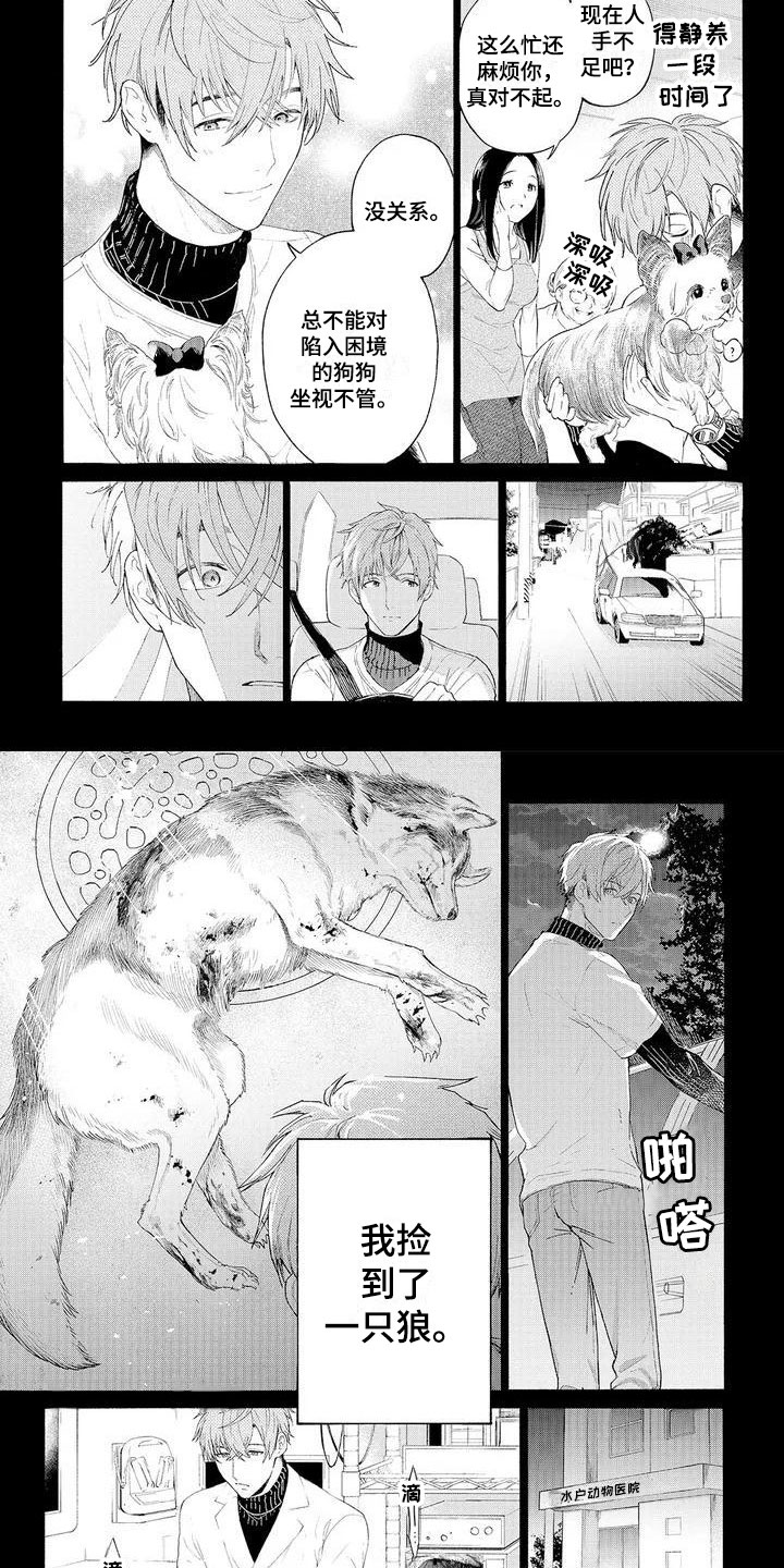 第1章：可爱的狼人2