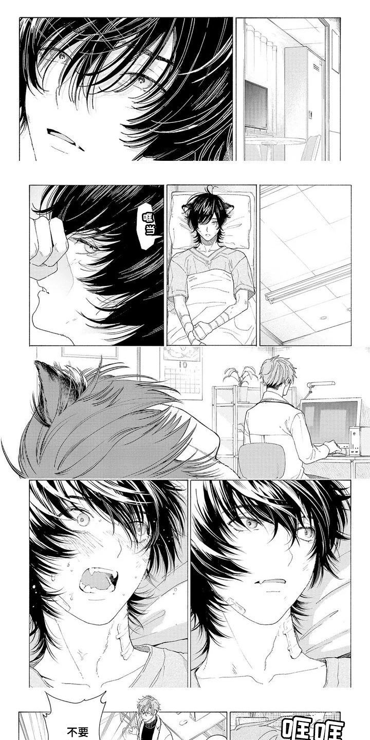 第2章：再次光临0