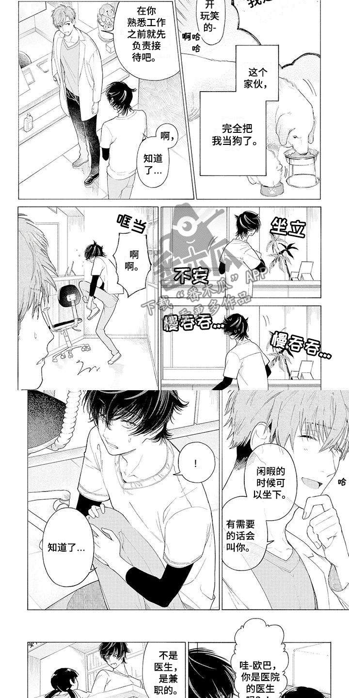 第4章：看门犬3