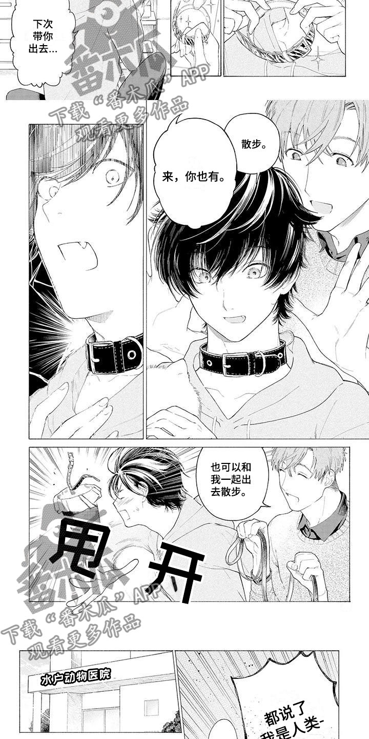 第4章：看门犬2