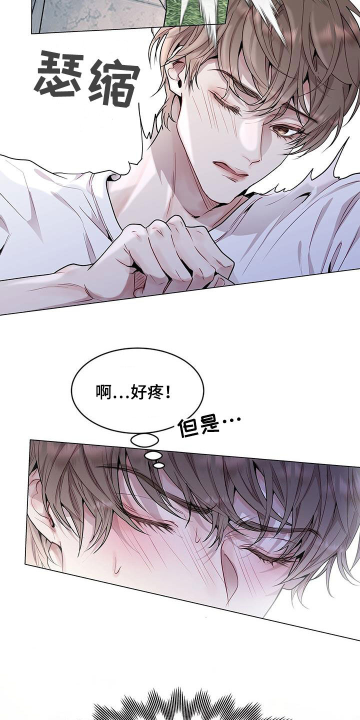 第42章：超大蜘蛛4