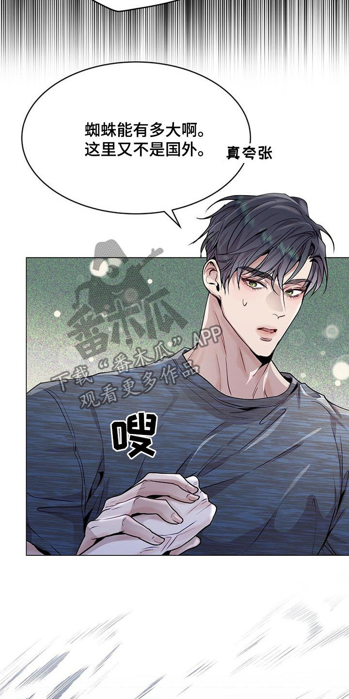 第43章：怦然心动2