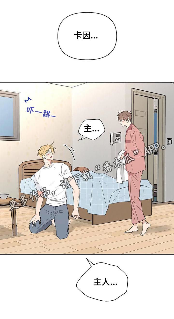 第110章：不会说谎0