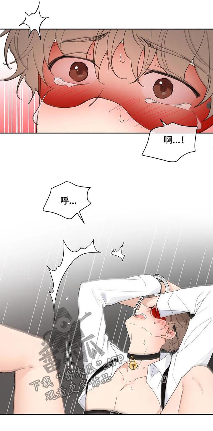 第65章：你需要的4