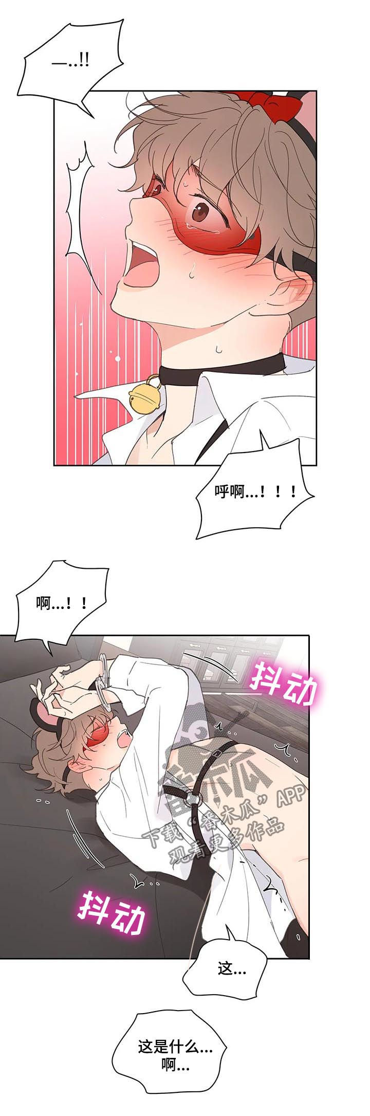 第65章：你需要的2