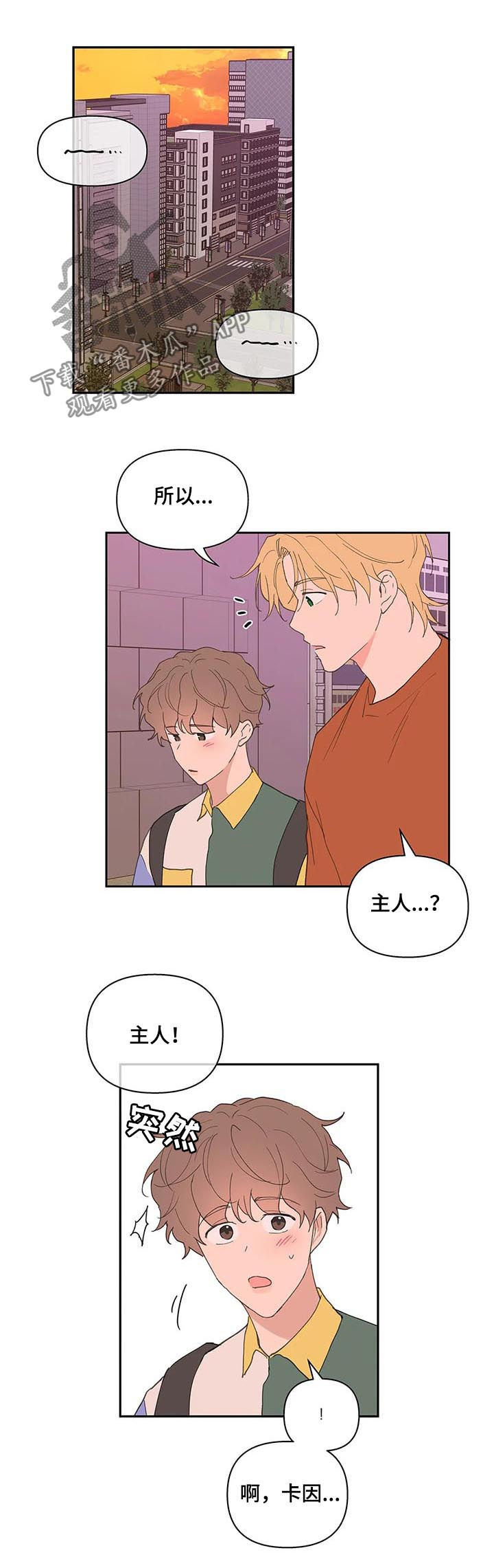 第61章：我骗了你1