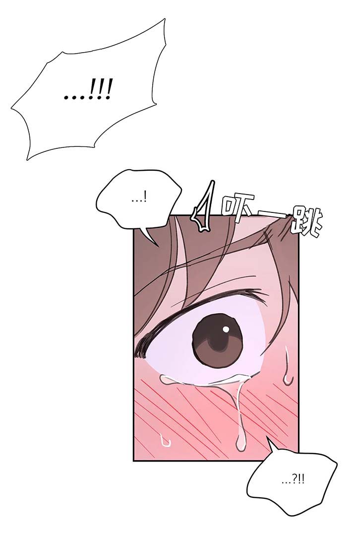 第52章：还没结束3