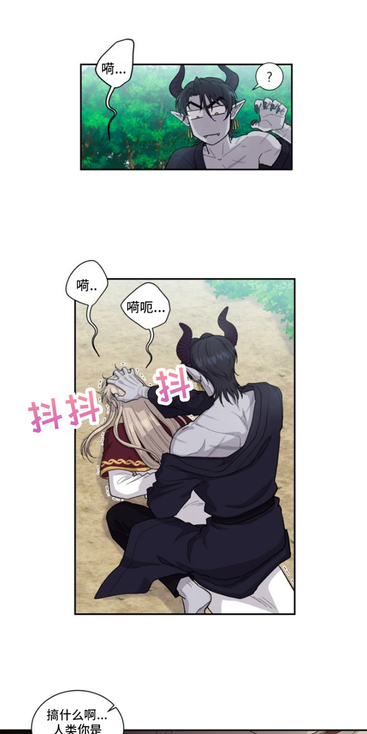 第4章：神官的经历3