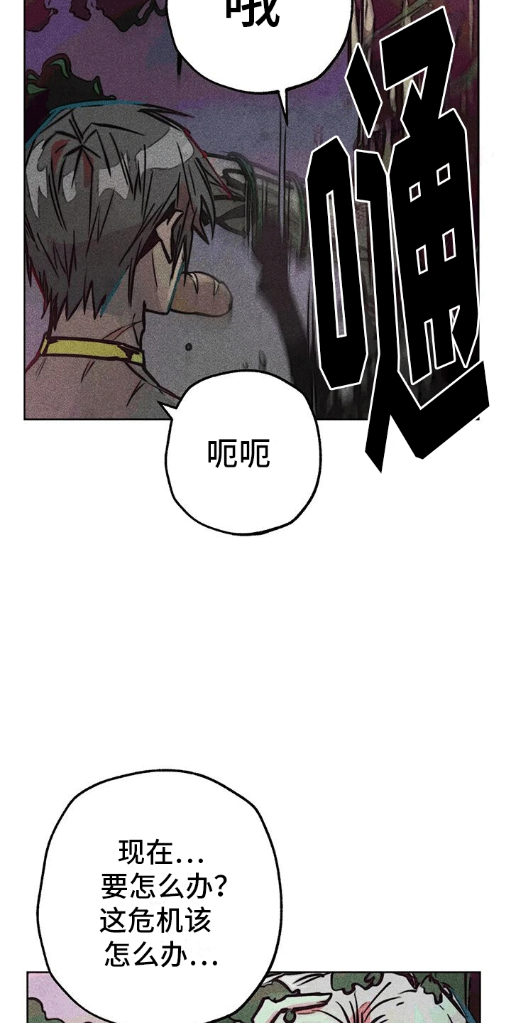 第46章：回家1