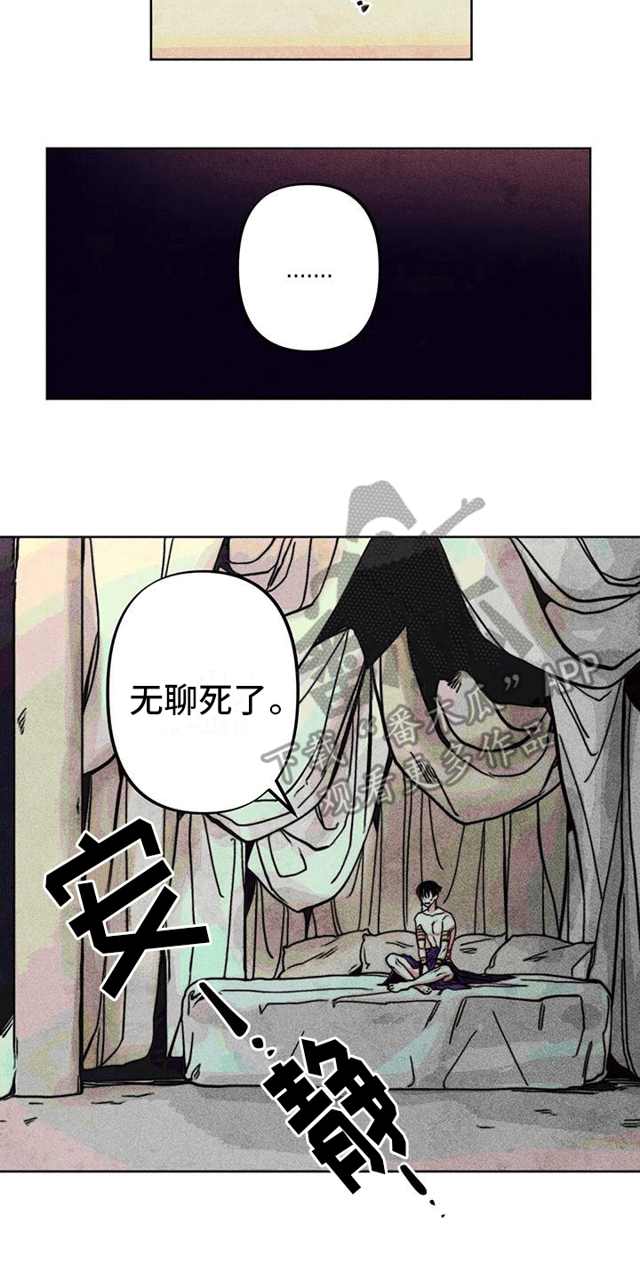 第11章：再次见面3