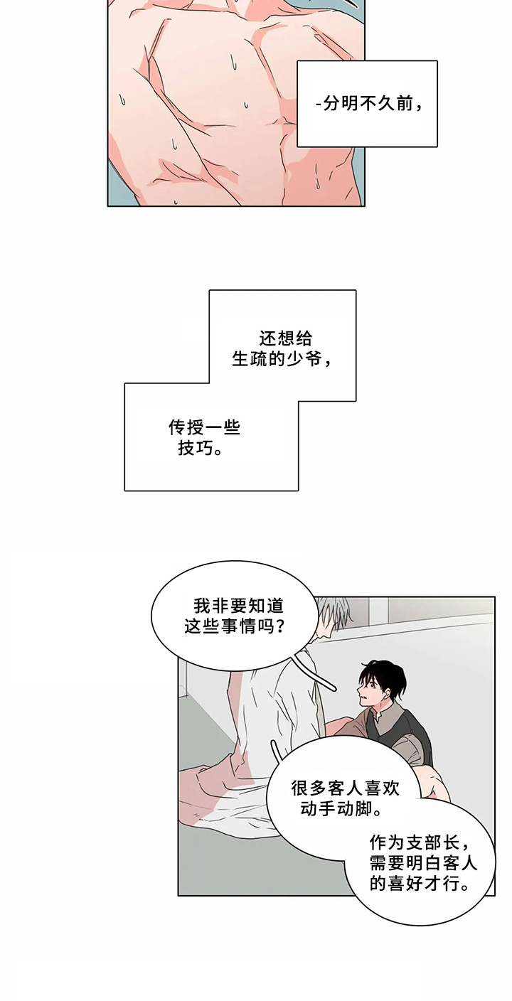 第62章：少爷观察记：有趣的事3