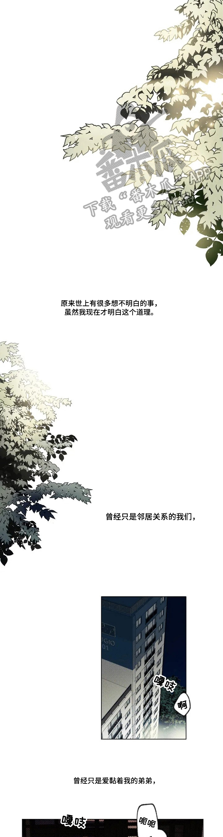 第52章：爱情的凝视：关系1