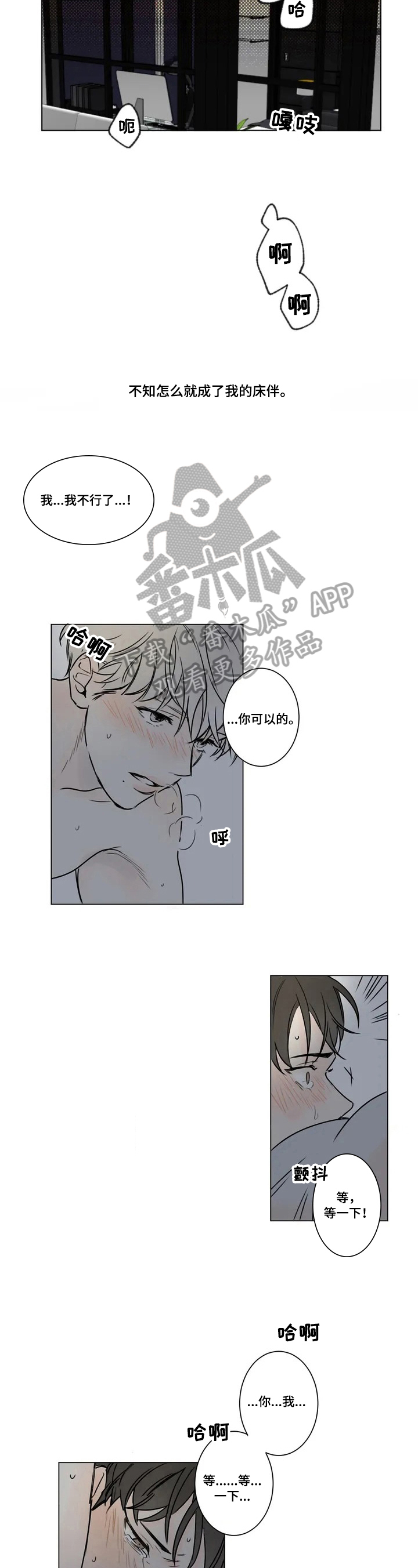 第52章：爱情的凝视：关系2