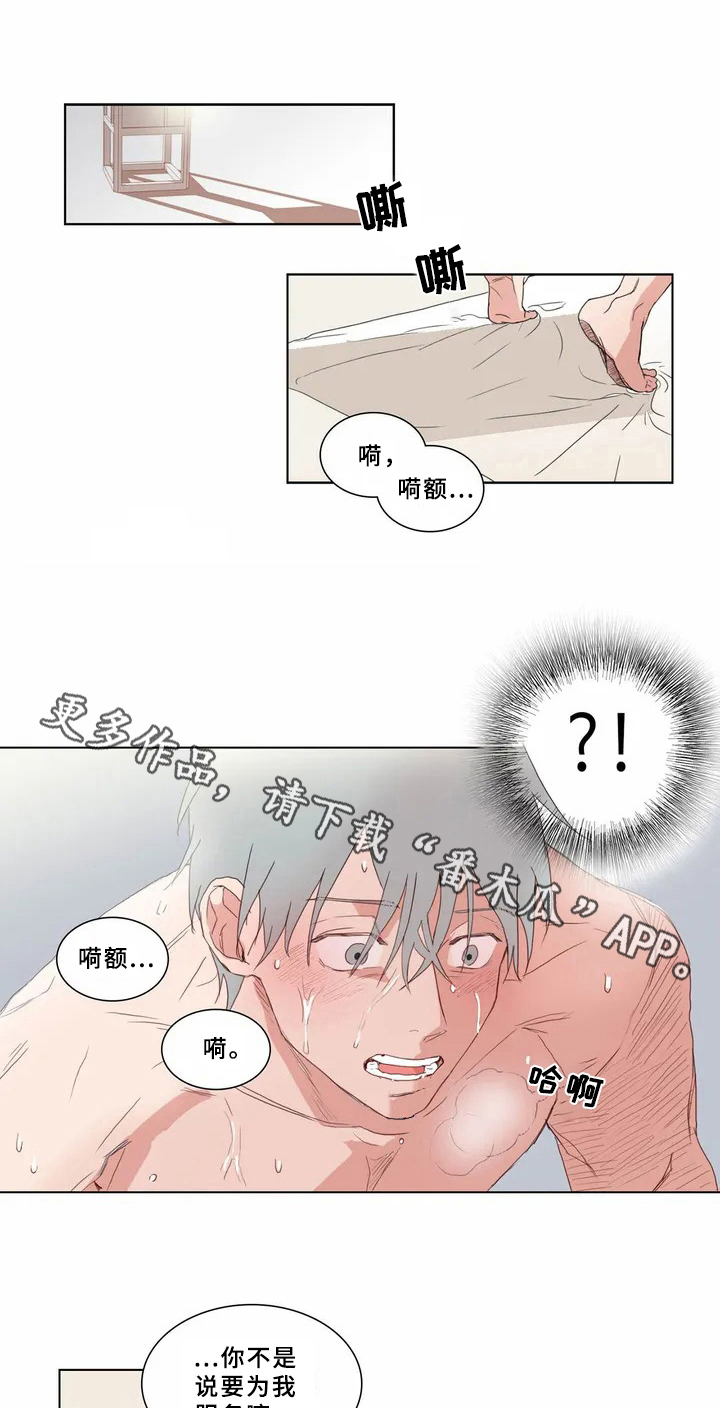 第62章：少爷观察记：有趣的事0