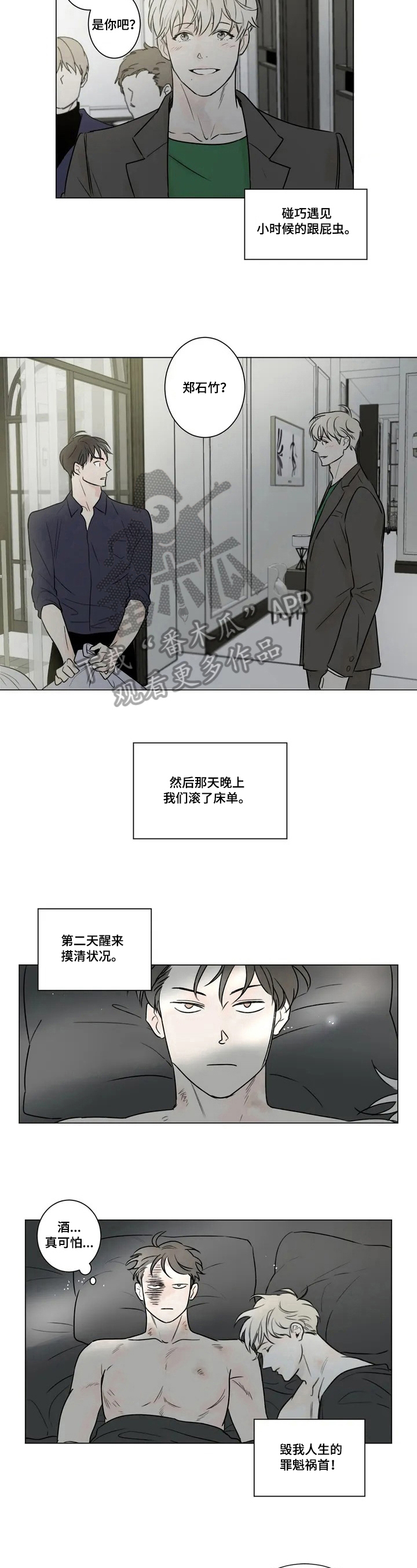 第53章：爱情的凝视：建议4