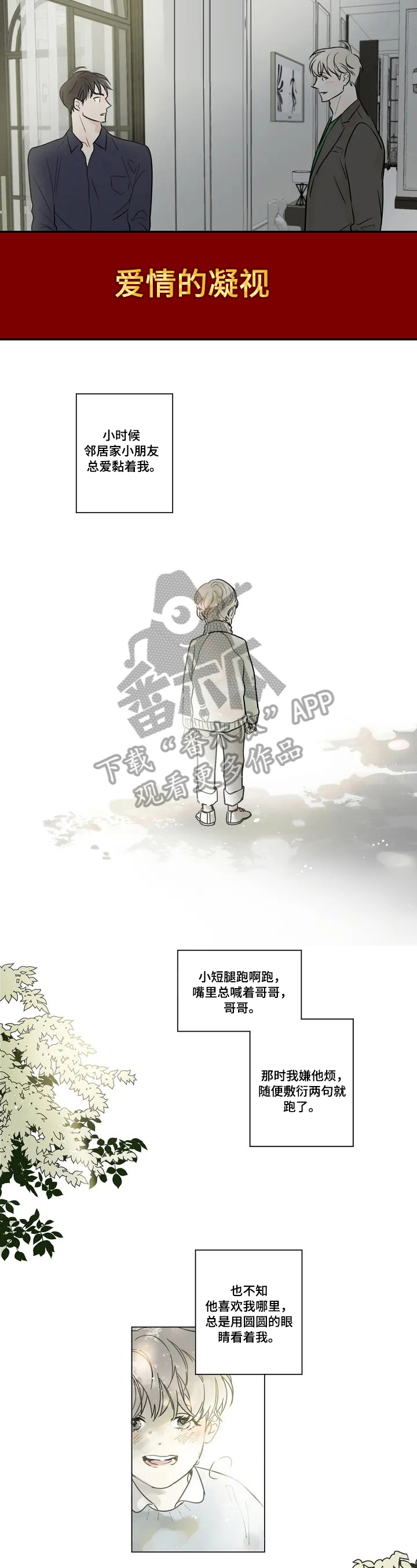 第52章：爱情的凝视：关系0