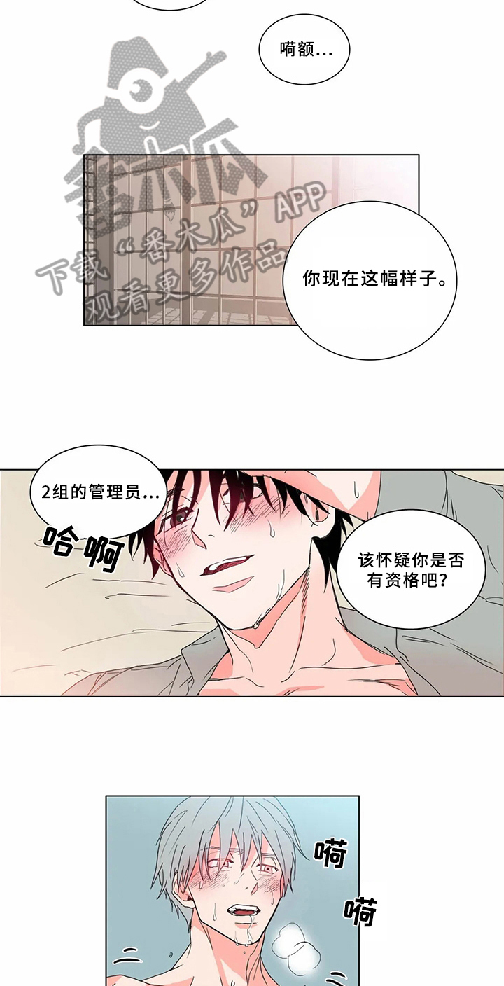 第62章：少爷观察记：有趣的事2