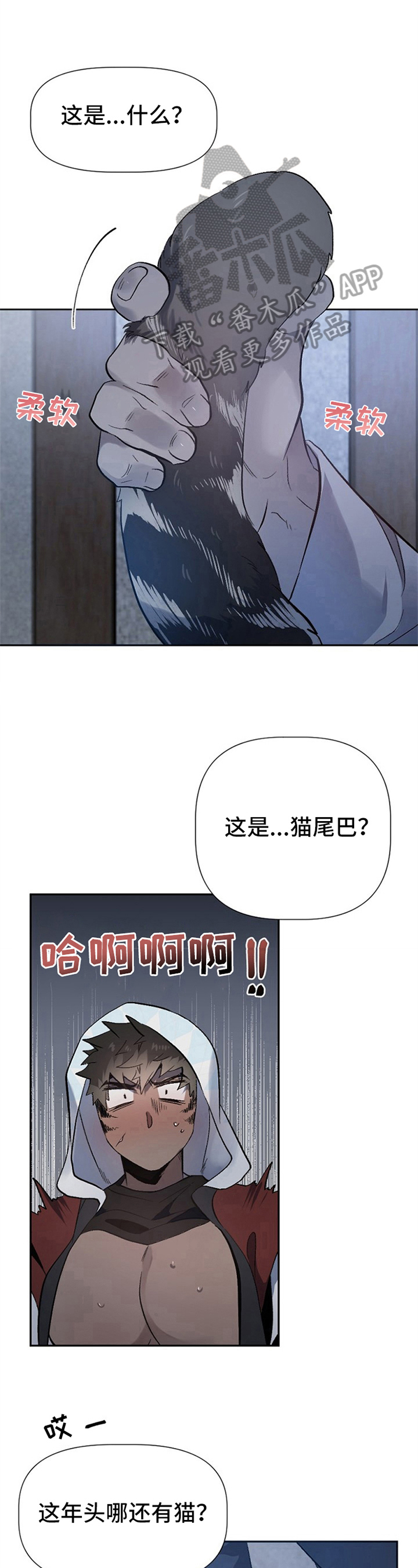第13章：草食动物的逆袭：关键4